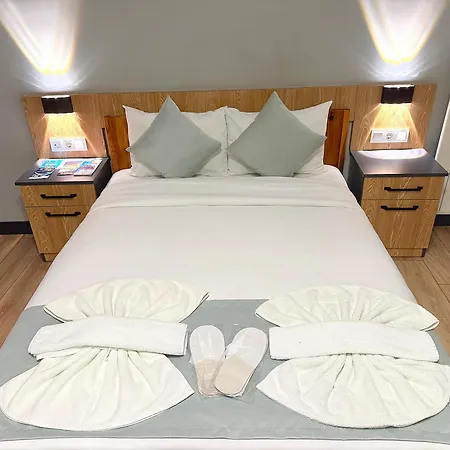 Taksim Luxury Alkan اسطنبول